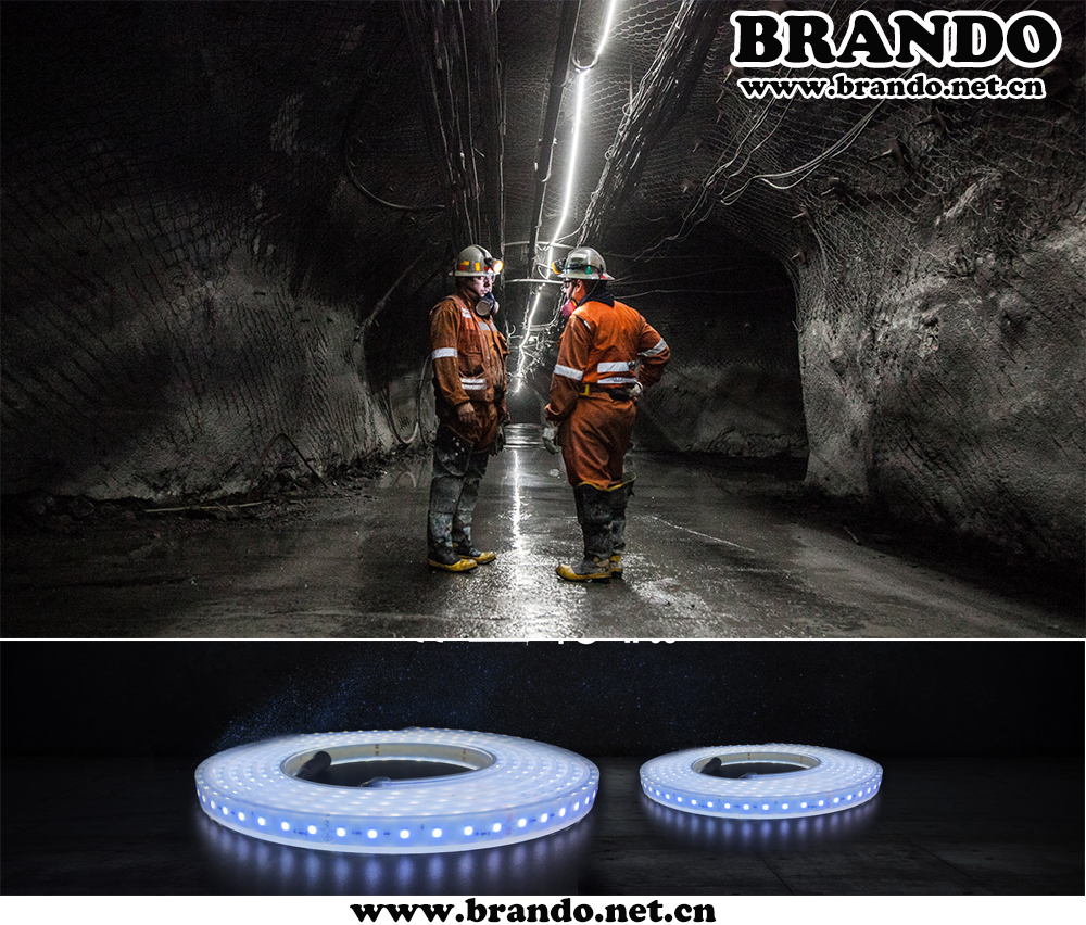 China Manufacturer LED Strip Light BO-SL60-24 for Mexico Market