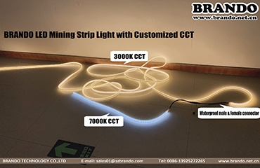 BRANDO Explosion proof LED Mining strip Light with Different CCT