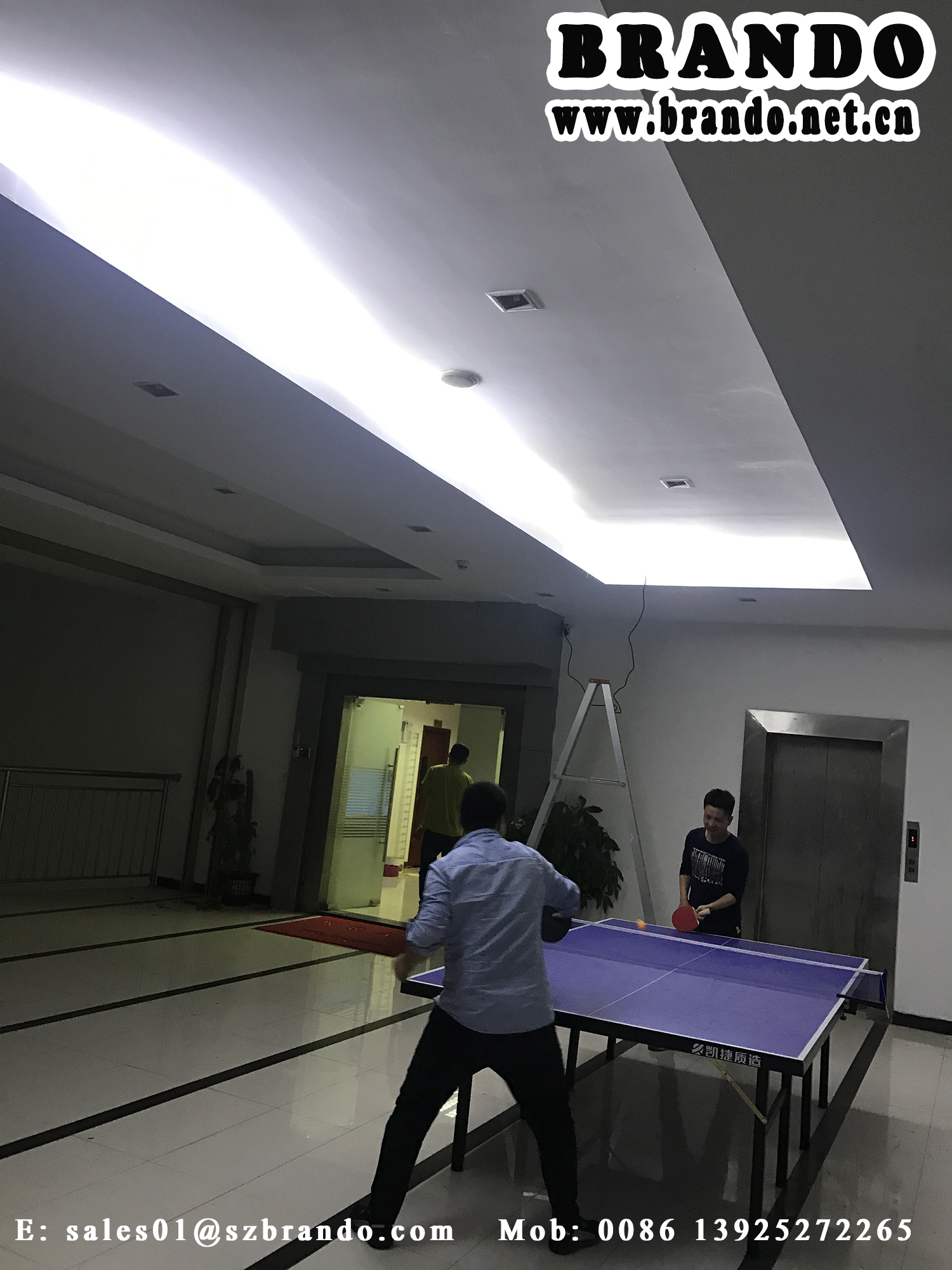 BRANDO Strip light for Employee's Night Activities - Ping Pong Competition