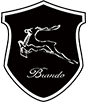 Brando Technology CO., Ltd.